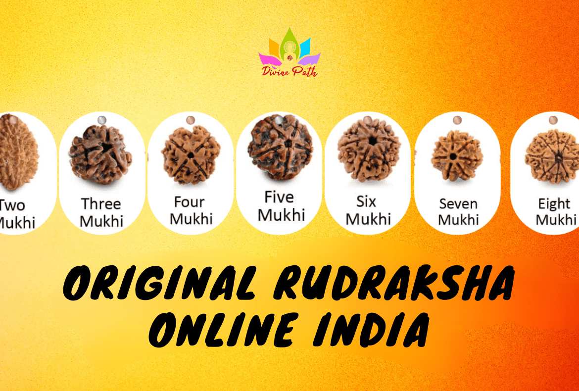 Original Rudraksha Online India: The Sacred Beads That Connect You to Higher Realms