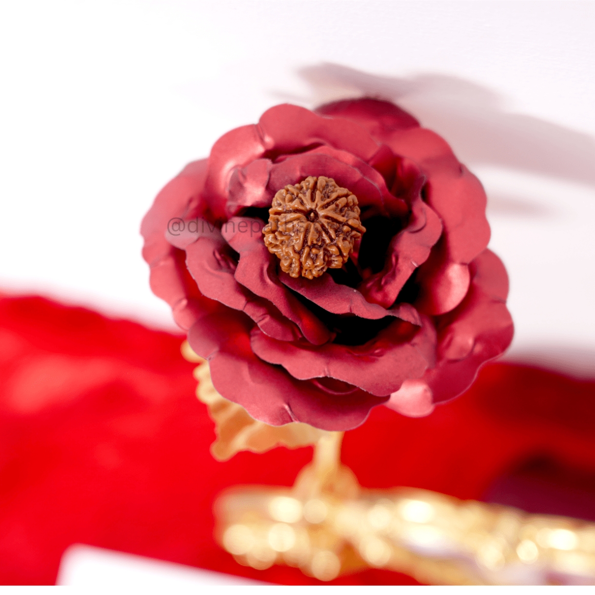 Eight Mukhi  Rudraksha