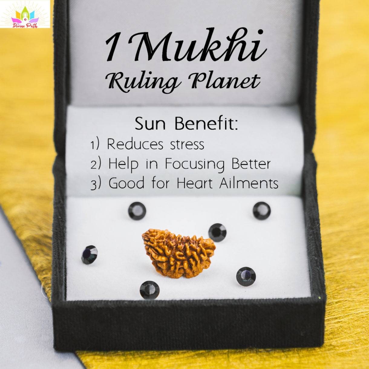 One Mukhi Without Capping