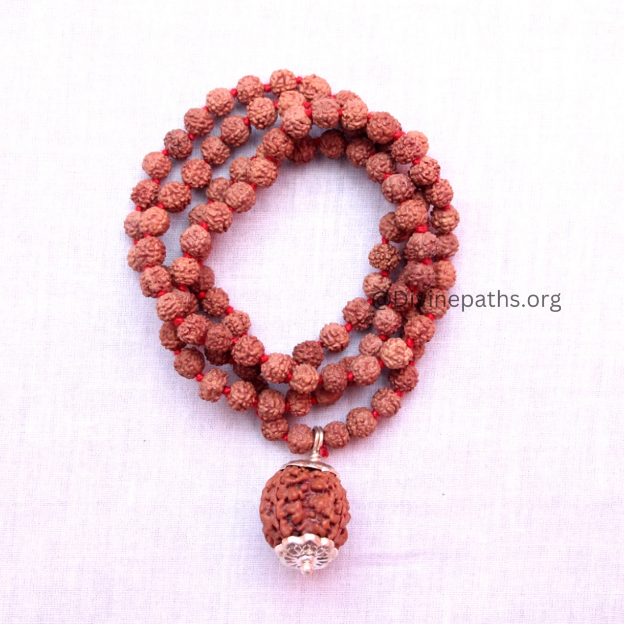 4 Mukhi Rudraksha With 5 Mukhi Rudraksha Mala