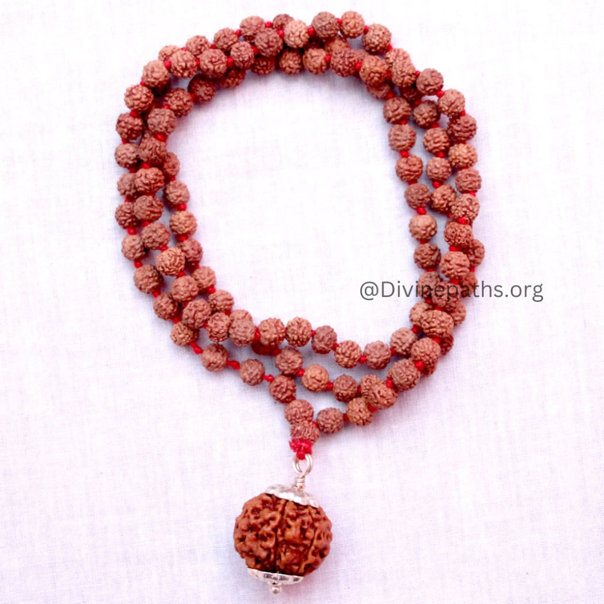 6 Mukhi Rudraksha With 5 Mukhi Rudraksha Mala