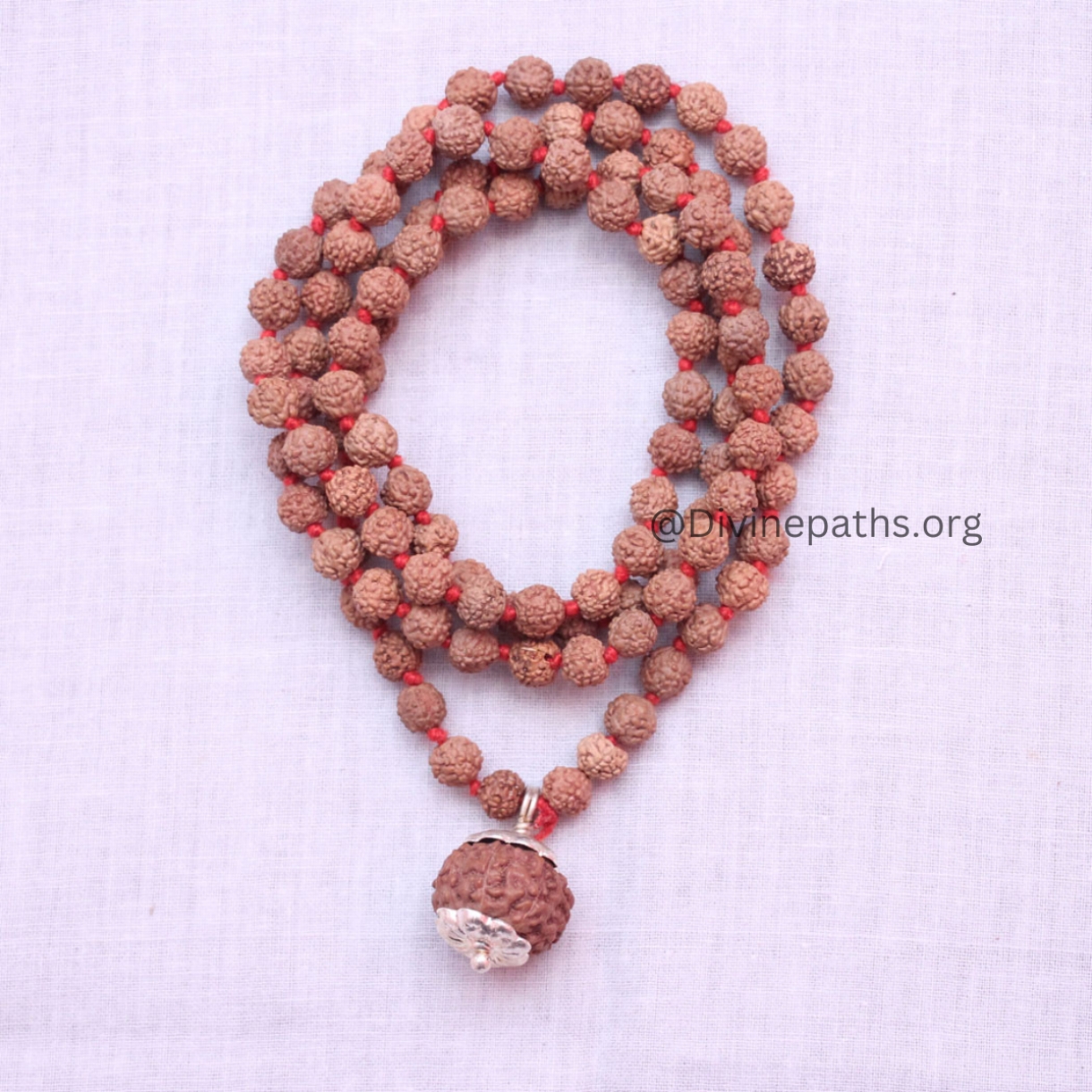 9 Mukhi Rudraksha With 5 Mukhi Rudraksha Mala